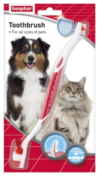 Toothbrush
